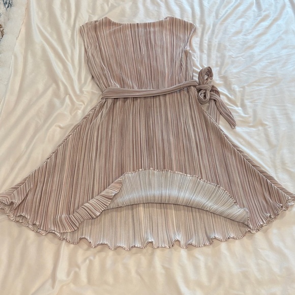 DKNY Pleated Dress in Soft Pink and Cream - Picture 6 of 6